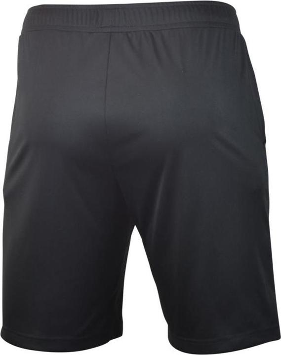 Image du produit Mizuno Short Nara Trainng (M)