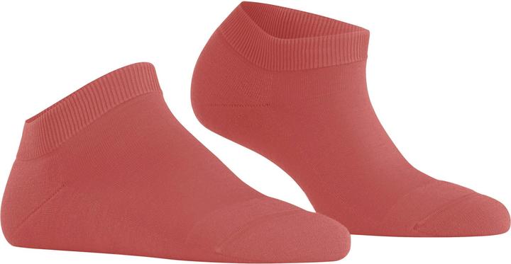 Immagine prodotto Falke Calze da ginnastica da donna ClimaWool (37 - 38)