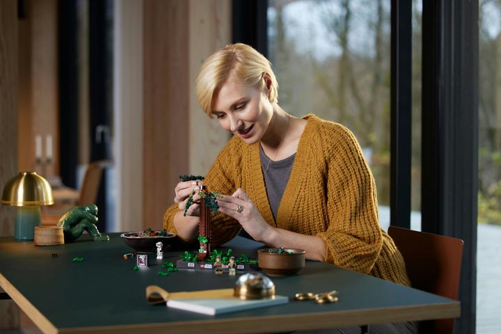 Produktbild LEGO Verfolgungsjagd auf Endor - Diorama (75353, LEGO Star Wars)