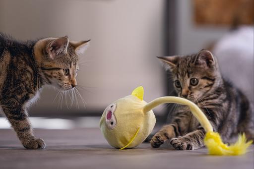 Immagine prodotto Beeztees Wobbler Loena (Catmint giocattolo)