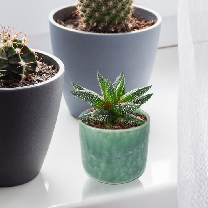 Produktbild Casativo Blumenübertopf aus Porzellan, blau (9 cm)