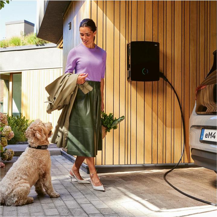 Actual product image ABL Wallbox eM4 Twin REEV 100000183 compliant with calibration regulations, Extender, 11/22 kW (Type 2, 22 kW)