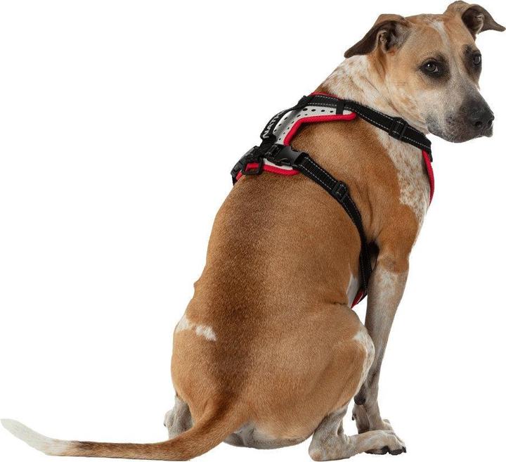 Produktbild Nathan K9 Reflective Dog Harness (L, Hund, Allgemein)