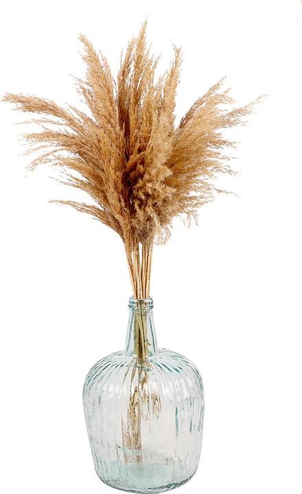 Actual product image Natura Punto Pampas grass (Pampas grass)