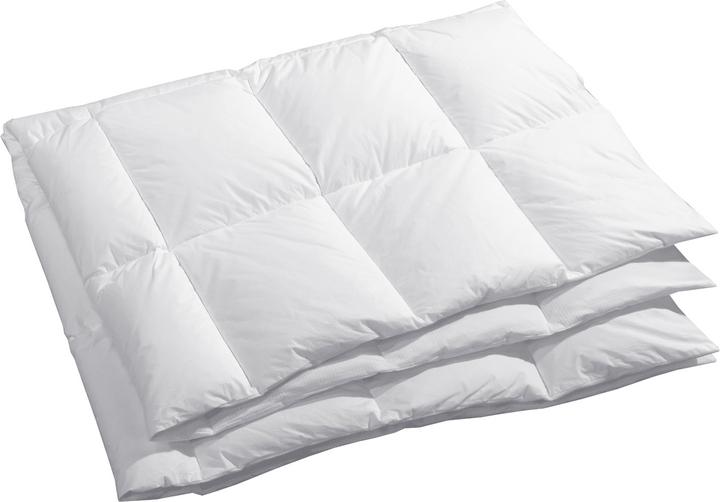 Image du produit Dauny Climaactive Evolution (570 g, 160 x 240 cm)
