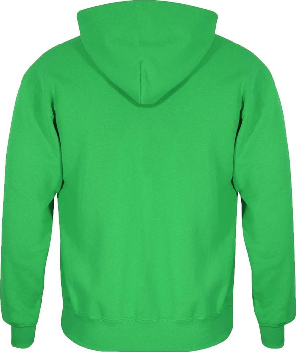 Actual product image Super Childrens/Kids Luigi Badge Hoodie (116)