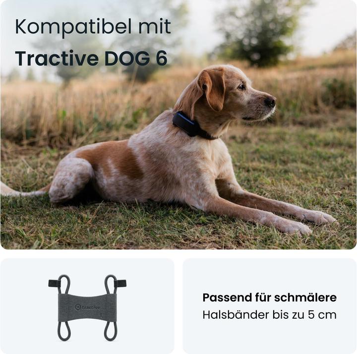 Produktbild Tractive GPS Dog 6 - Rubber Clips (Hund, Hundesport)