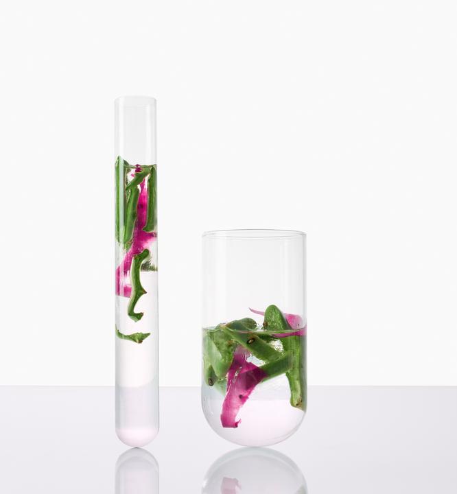 Image du produit Klorane Figuier de Barbarie (200 ml, Shampoing liquide)