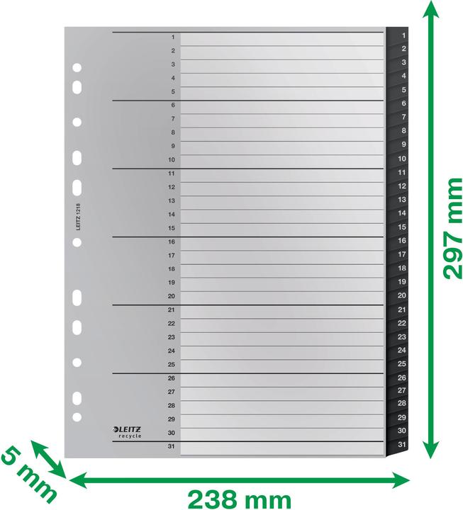 Actual product image Leitz Register Recycle 1-31