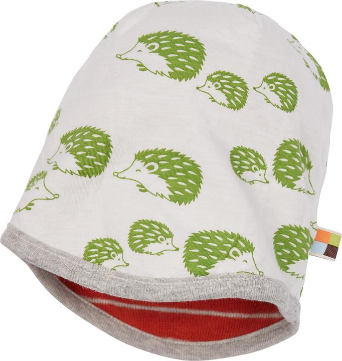 Actual product image loud + proud Reversible cap striped (62/68)