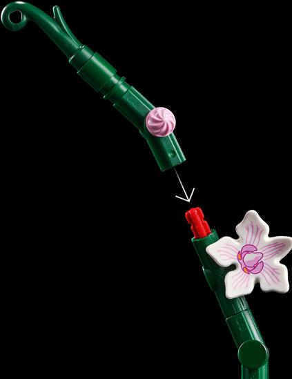 Produktbild LEGO Orchidee (10311, LEGO Botanical)