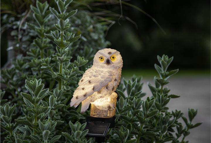 Image du produit Star Trading Owl (IP44)