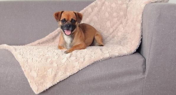 Trixie Cosy blanket (Dog)