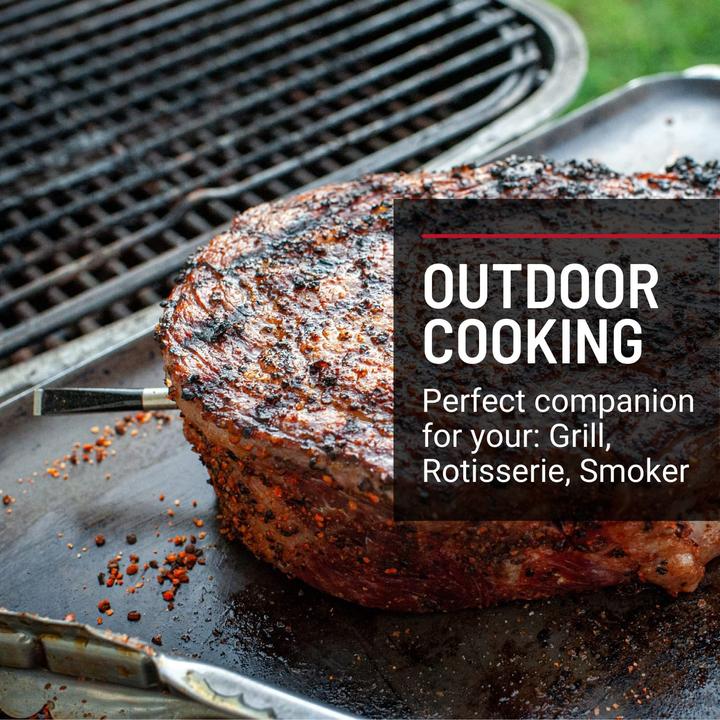 Actual product image Meater Smart meat thermometer Plus