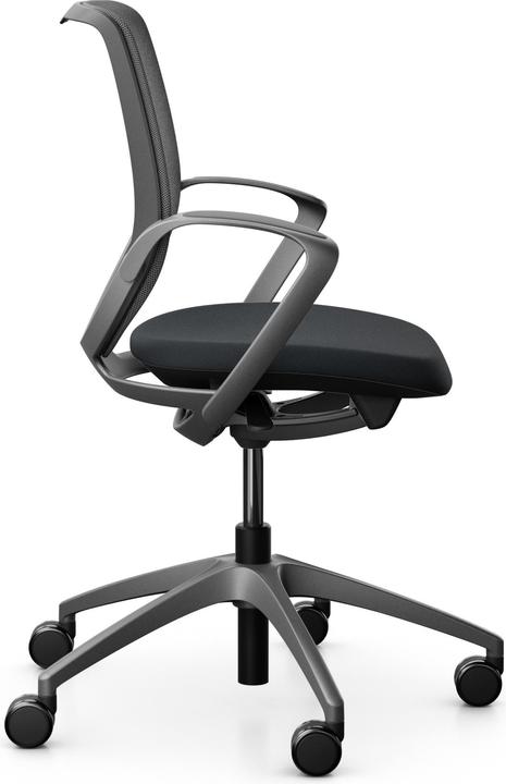 Actual product image Giroflex Netzrücken mit Armlehnen 313