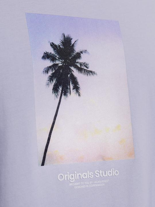 Produktbild Jack & Jones Jorvesterbro Picture Tee Ss Crew Neck Sn (XL)