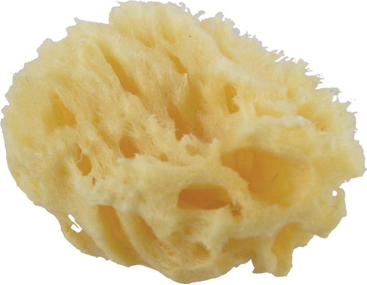 Produktbild Frina Naturschwamm