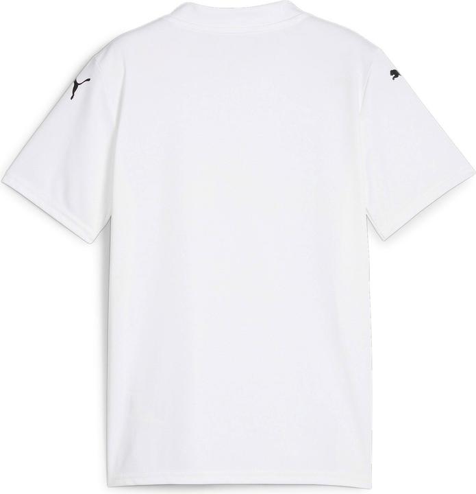 Actual product image Puma teamGLORY Jersey Jr (164)