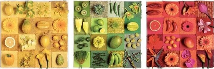 Produktbild Educa Exotische Früchte & Blumen (500 Teile)