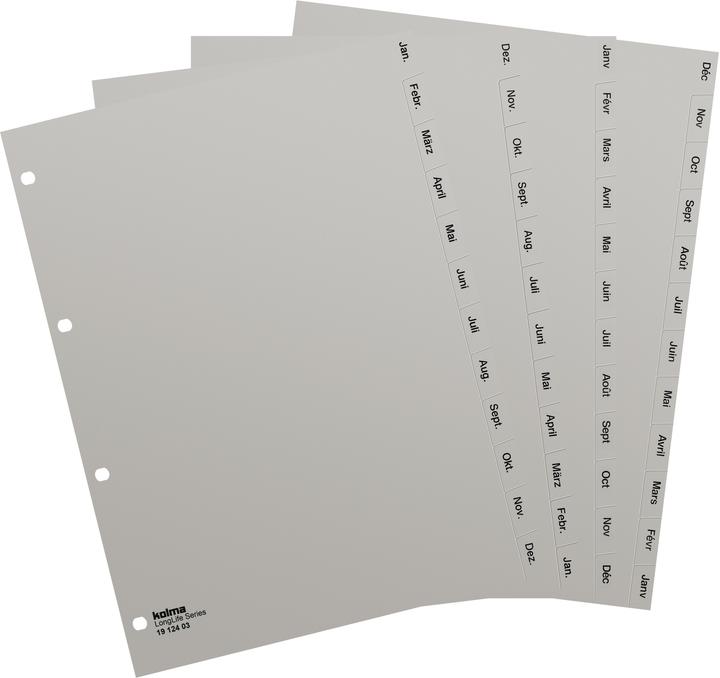Actual product image Kolma Register A4 superstrong Déc-Jan (fr) 12-piece grey