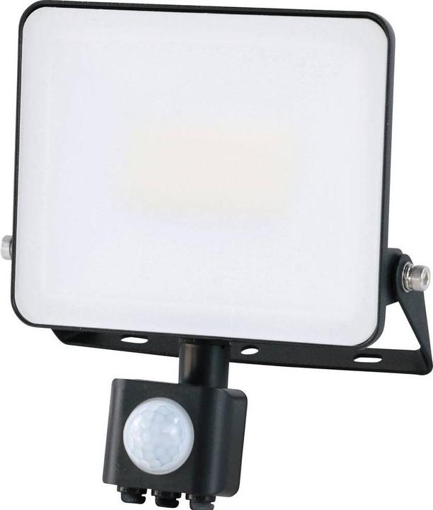 Actual product image Müller Licht Müller-Licht Miami 21600064 LED-Aussenstrahler 30 W Neutralweiss (4800 lm, IP44)