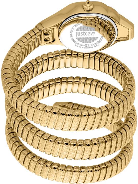 Actual product image Just Cavalli Ravenna (Analogue wristwatch, 22 mm)
