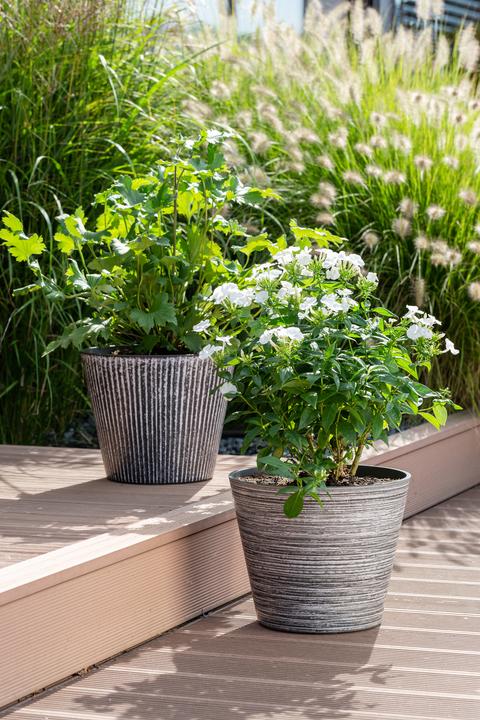 Produktbild Scheurich Purista+ 30, Pflanzgefäss/Pflanzkübel, rund, Farbe: White Line, hergestellt mit recyceltem (29.80 cm)