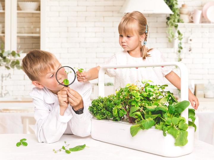 Immagine prodotto Click and Grow Smart Garden 9 (62.50 cm)