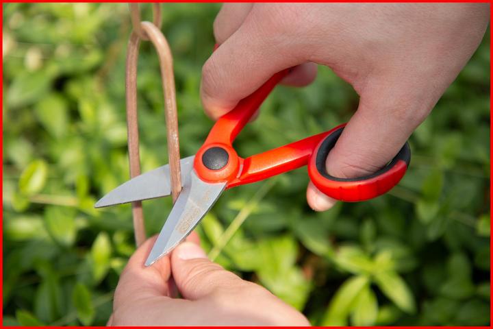 Actual product image KS Tools Universal workshop shears (14.30 cm)