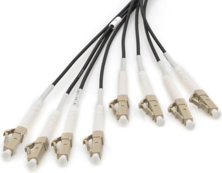 Actual product image Digitus Pre-assembled Fiberglass Universal Breakout Cable, Multi Mode OM4, 8 Fibers, LC/UPC - LC/UPC (LSOH, 50 m)