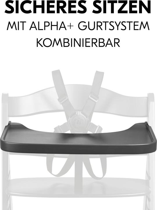 Actual product image Hauck Alpha
