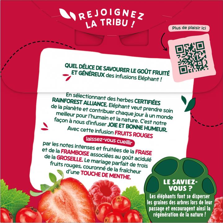 Image du produit Elephant Infusion Fruits Rouges (48 g)