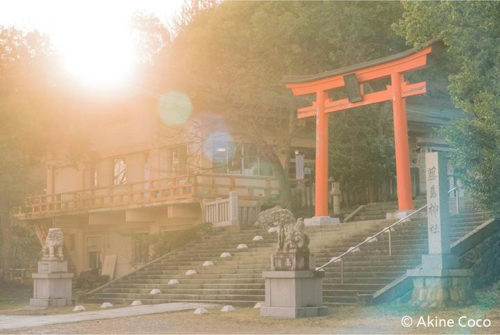Immagine prodotto Kenko Nostaltone Arancione Anime (82 mm, Filtro Effetto, 82 mm)