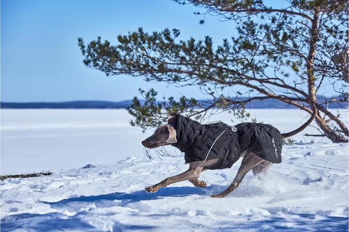 Image du produit Hurtta Extreme Warmer V3 Eco Noir, 25 cm (25, Manteau pour chien)