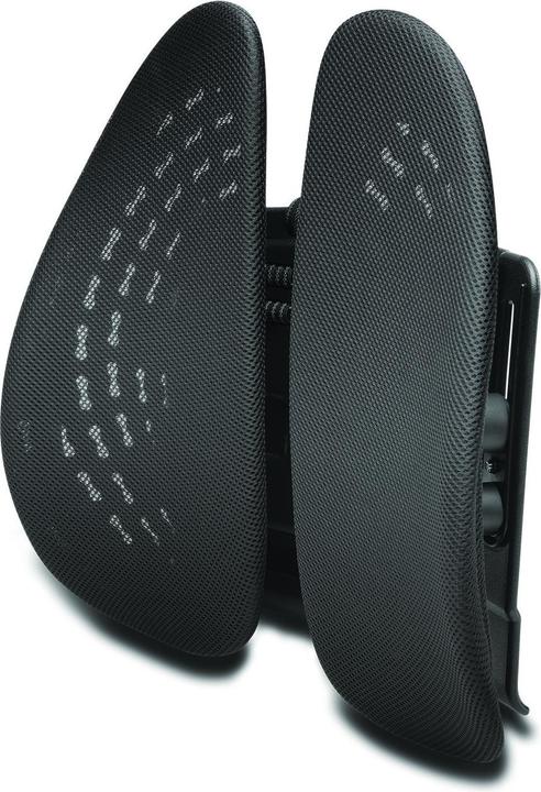 Kensington K60412WW SmartFit anpassbare Rückenstütze