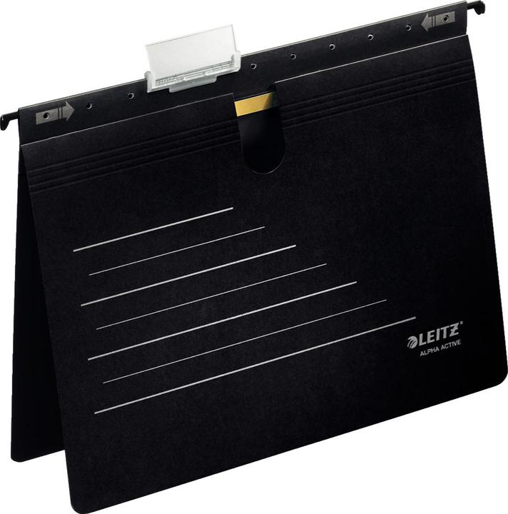 Immagine prodotto Leitz File alfa appeso (A4, 1 x)