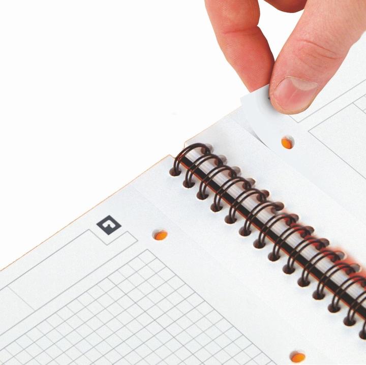 Image du produit Oxford Meetingbook (A4, Quadrillé, Couverture souple)