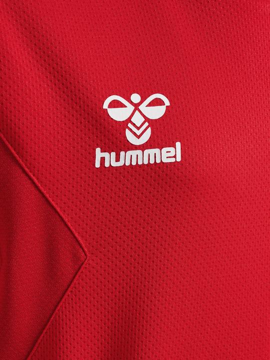 Actual product image hummel Hmlauthentic Pl Hoodie Kids (164)