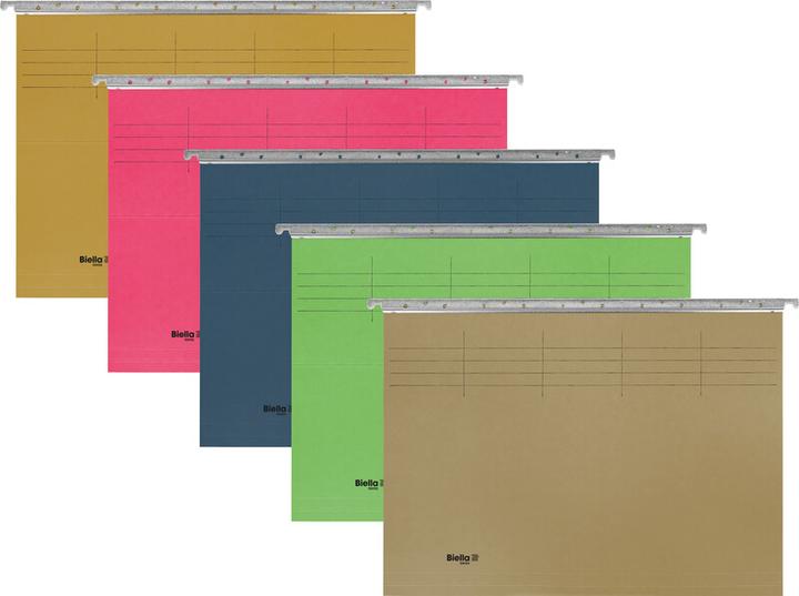 Actual product image Biella Suspension file (A4, 1 x)