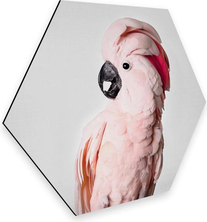 Image du produit Trenddeko Cacatoès rose (25 x 22 cm)