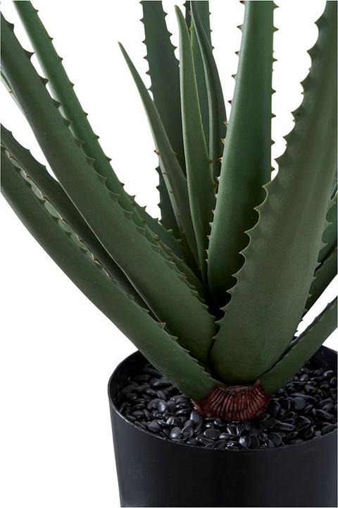 Produktbild House Nordic Aloe (51 cm)