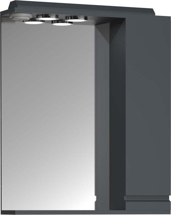 VCM Badspiegel Wandspiegel Breite 60 cm Hängespiegel Spiegelschrank Badezimmer Drehtür grifflos (60 x 14 cm)