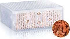 Immagine prodotto Juwel Aquarium Materiale filtrante Phorax per Bioflow 8.0 (Filtri interni, Acqua dolce, Acqua marina)
