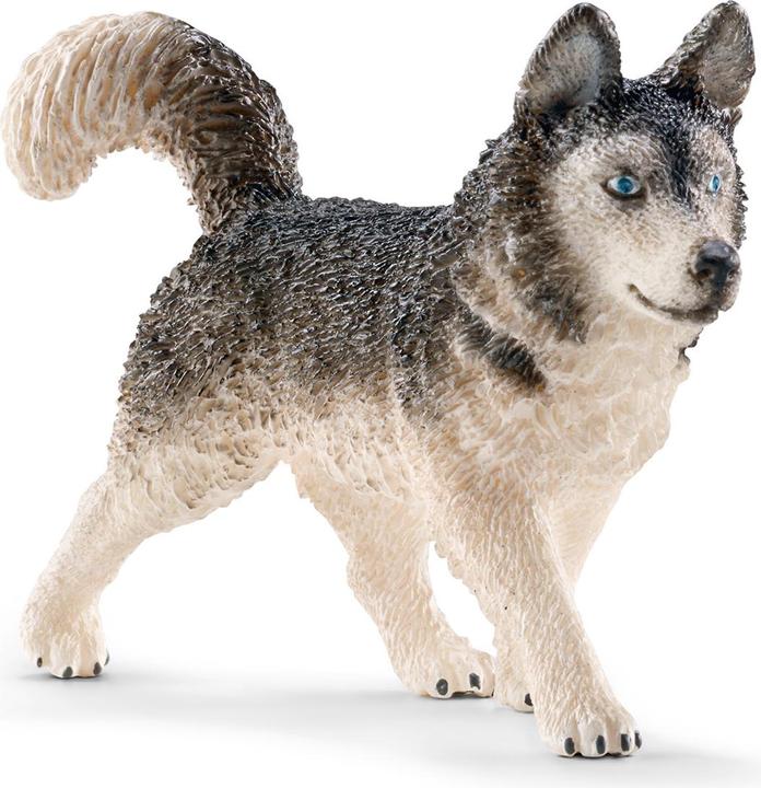 Produktbild Schleich Husky
