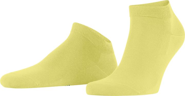 Produktbild Falke ClimaWool Herren (43 - 44)