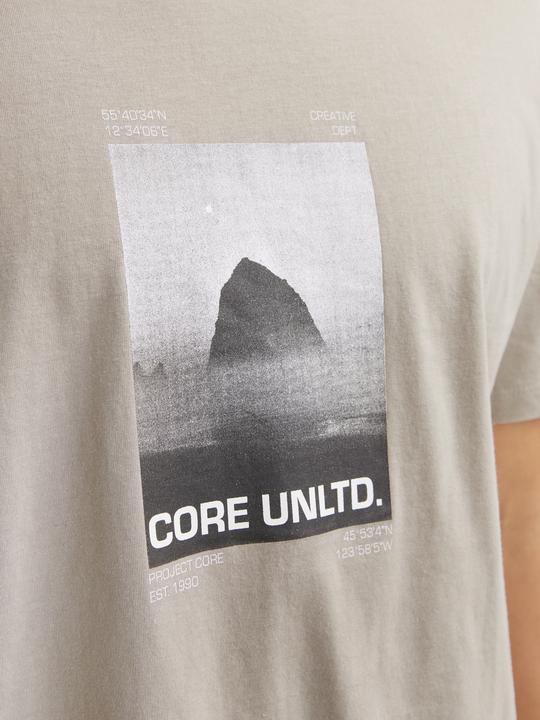 Actual product image Jack & Jones Printed round neck T-shirt T-shirt (M)