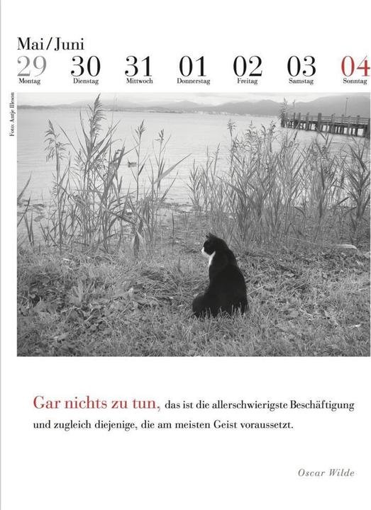 Actual product image The literary cat calendar (33 x 24 cm, No binding, German)