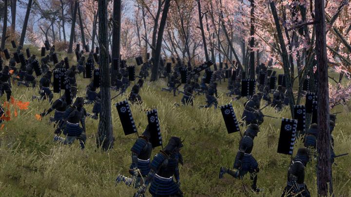 Immagine prodotto Sega Total War : Shogun 2 Collection (PC, DE)
