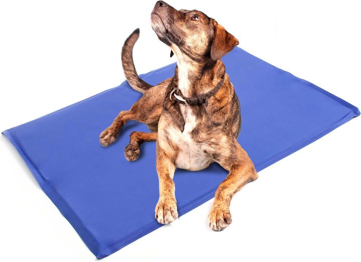 Actual product image Fudajo Cooling mat (Cat, Dog)