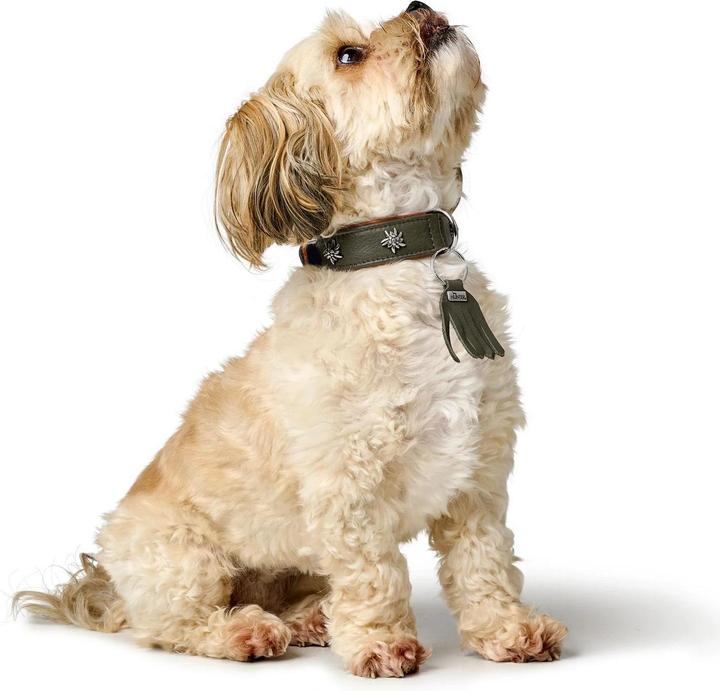 Actual product image Hunter Collar Munich 55/M, cowhide, green/cognac, neck circumference (Dog, General)